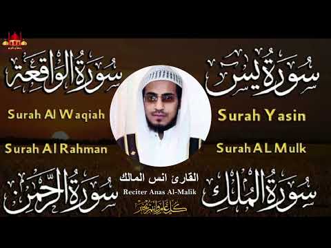 سورة يس سورة الواقعة سورة الملك سورة الرحمن بصوت القارئ انس المالك صوت هادي