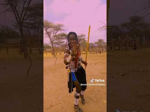 MAYIKU SAI JIMONOENI DOTO MAJIMOTO STUDIO 2026