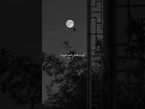 مسلم مش دا اللي كان بتخاف عليه