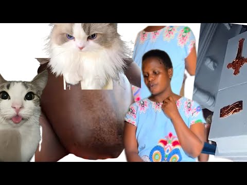 EMILI YAFUMBIRWA NAGGAGGA ALINA KAPPA ENJERU WHITE CUT WAFUNA OLUBUTO KAPPA ESULA EKAABA NELUVAAMU EMILI YAFUMBIRWA NAGGAGGA ALINA KAPPA ENJERU WHITE CUT WAFUNA OLUBUTO KAPPA ESULA EKAABA NELUVAAMU