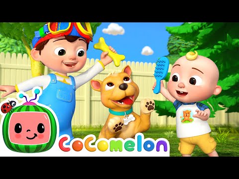 This Is The Way Doggy Care Version CoComelon Nursery Rhymes Kids Songs This Is The Way Doggy Care Version CoComelon Nursery Rhymes Kids Songs