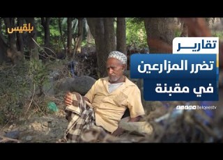  المزارعون في وادي موثب بمديرية مقبنة يكابدون الخسارة والعزلة جراء أضرار السيول تقرير علاء خالد