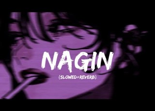 Nagin Slowed Reverb Bazel Awan