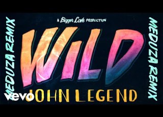  John Legend Wild MEDUZA Remix Official Audio