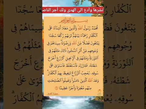 محمد رسول الله والذين معه أشداء على الكفار سعد الغامدي Quran سعد الغامدي Youtubeshorts محمد رسول الله والذين معه أشداء على الكفار سعد الغامدي Quran سعد الغامدي Youtubeshorts