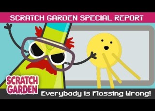  Everybody Is Flossing Wrong SPECIAL REPORT Scratch Garden