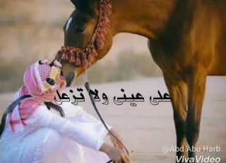 تبيني لك مثل اول 2017
