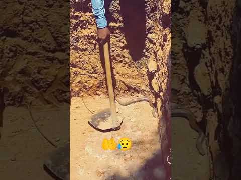 وأعوذ بك من عذاب القبر القبر عذاب دعاء يوتيوب