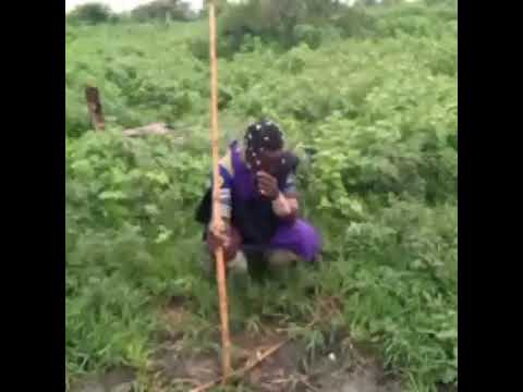 JIMINOGENI DOTO FT JINASA MADUKA HARUSI KWA SAMIKE NGOTA STUDIO MBEYA MASANYINTA 2026