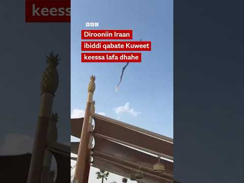 Dirooniin Iraan Kuweet Keessatti Lafa Dhahe BBC News Afaan Oromoo