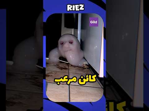 ضهور جنـ ـي مرعـ ـب في منزل سحر قصص السعودية تحدي العاب رعب نص الليل Sohrts