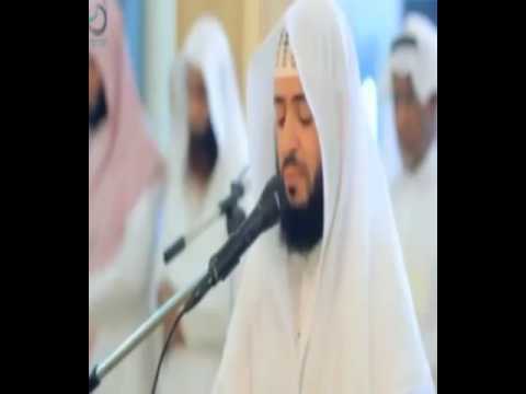 Surat Earthquake Reader Wadih Yemen