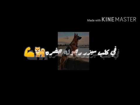 يا اندال يولاد الفاجره