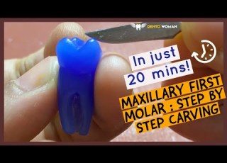 Maxillary First Molar Carving For Beginners Toothcarvingtutorial Maxillaryfirstmolarcarving