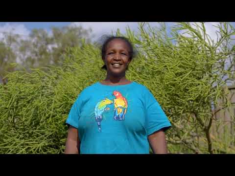 Leuria Zakayo Maapetin Zion Official Video