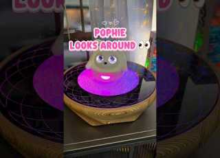  Pophie Looks Around