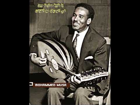 احمد المصطفى يا ظبية