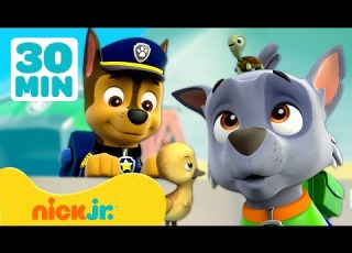 دوريات المخلاب عندما تغزو الحيوانات برج المراقبة 30 دقيقة Nick Jr Arabia