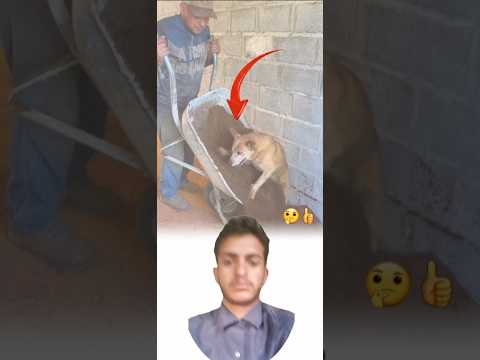 التكامل خلق الله الإنسان ليفكر وسخر له الحيوان Youtuber دويتو لايك اشتراك تصميم عبارات التكامل خلق الله الإنسان ليفكر وسخر له الحيوان Youtuber دويتو لايك اشتراك تصميم عبارات