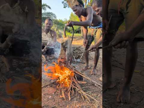 Cooking Rat Is More Than Survival It S Culture