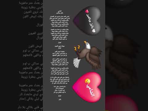 كلمات اغنية الشامي ياليل ويالعين
