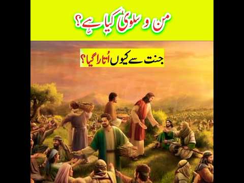 Man O Salwa And Disobedience Of Bani Isreal