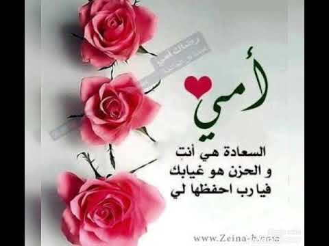 محمد الفارس امي مخلوق عجيبه