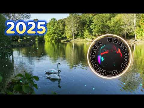 Наталія Гордієнко Два лебеді КРАЩА МУЗИКА УКРАЇНИ 2025