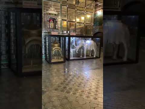 Kanch Mandir Indore Shorts Viral Indorecity Youtube Explore Trending