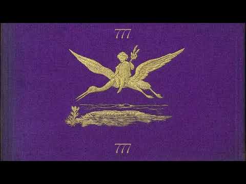 Your Vibration Is Aligning With True Love And Abundance