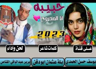 جديد 2023 الفنان برير عبدالباقي القناص حبيية انا المجروح