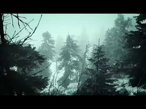 Le Sens Du Vent Pour Dormir صوت الرياح للنوم والاسترخاء Le Sens Du Vent Pour Dormir صوت الرياح للنوم والاسترخاء