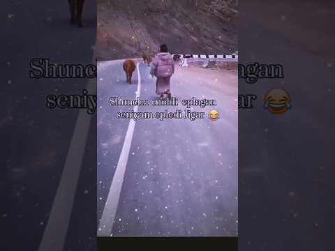 Like Bosishni Unitmang Duet Funny Sad Milliy Azob Automobile Love Automobile Respect