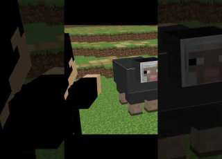ميمز ماين كرافت انته اسود منريدك Minecraft Subscribe Memes Like لايك اشتراك Shorts شورتس