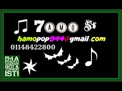 مولد الليله الكبيره مولد ابو انور اجمد مولد 2020 مهرجان الليله الكبيره