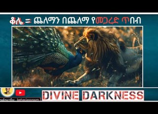 ሲኦል ውስጣችን መሆኗን ያላወቀ ገነታችሁን ወስዳለሁ ብሎ እያስፈራራን ነው ጦርነት ላይ ነን
