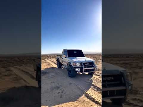 محمد البصيلي إحنا النسور احنا الهيبة 2025