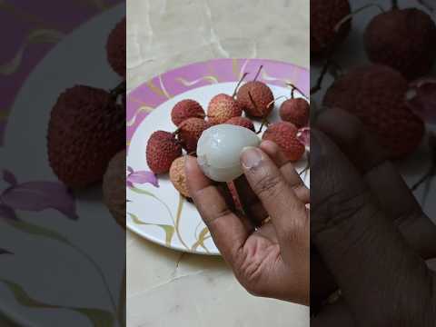 Have You Tasted This Fruit Litchi Fruit Shorts