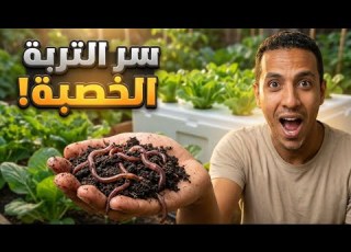 دودة الأرض السر الخفي لتربة صحية وخصبة