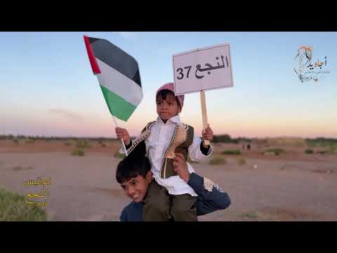 النجع 2025 كواليس الحلقة 29