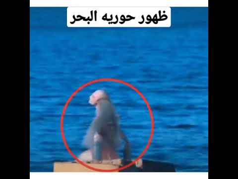 ظهور حوريه البحر الحقيقيه على الكامىرا