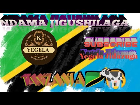 NDAMA JIGUSHILAGA TANZANIA BHALINGI MSAMBAZAJI YEGELA JIDAZUGA