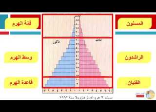  رسم بياني هرم أعمار