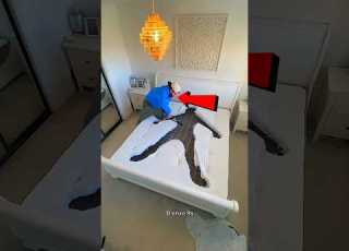  Das Geheimnis Im Bett Catsoftiktok CatLovers Cat Cute Funnycats Catcartoon Fyp