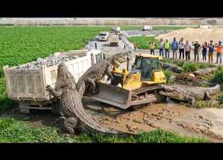  WOW EXTREME CONDITION LAND FILLING PROJECT Big SHANTUI Bulldozer 25 Ton Dump Trucks Delivery