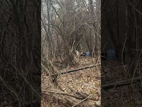 Verily I Say Unto You There Be Some Standing Here Which Shall Not Taste Death Till They See The Son