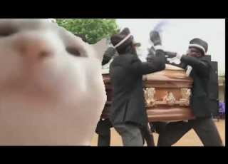 Cat Vibing To Astronomia Coffin Dance Meme Original