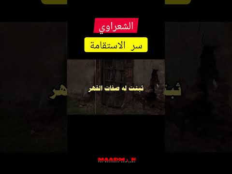 سجل الاستقامه في الحياه الشيخ محمد متولي الشعراوي