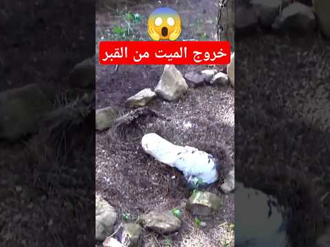 خروج الميت من القبر الميت رعب خوف الرعب جن مغامرة مغامرات