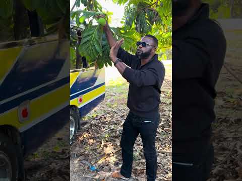 اليوم في تنزانيا صادفت لمحة من طفولتي اليوم في تنزانيا صادفت لمحة من طفولتي